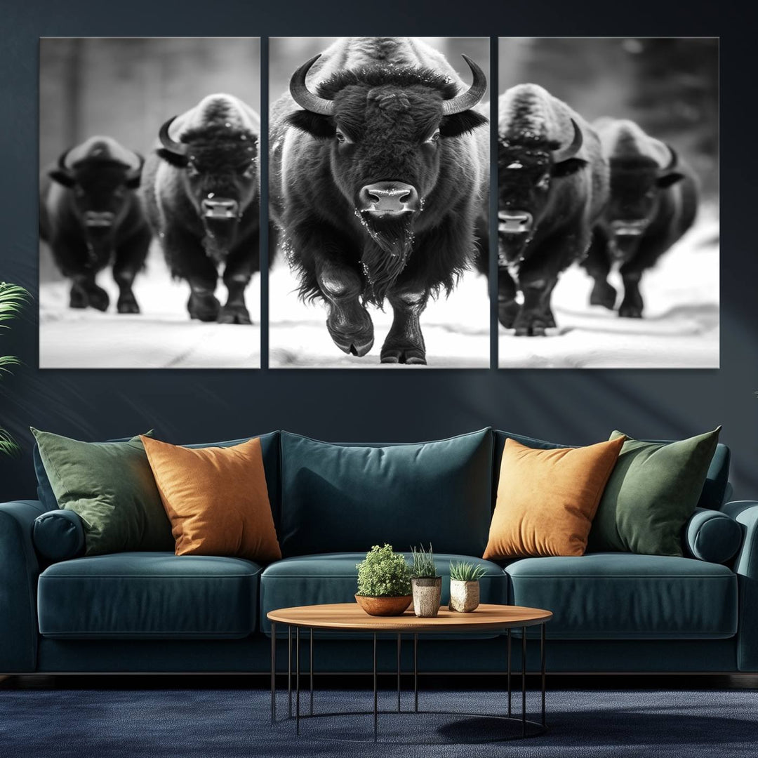 A black and white American Bison herd canvas print adorns the wall.