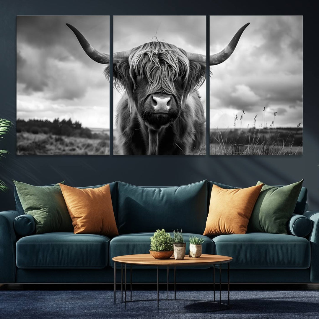 A large Scottish Cow Wall Art Canvas Print hangs on the wall.