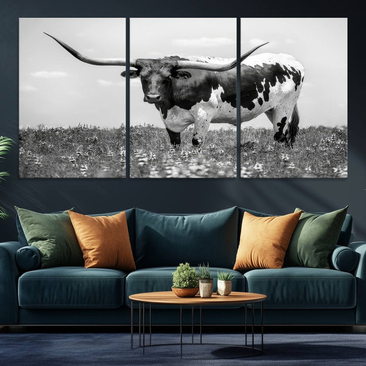 Texas Black White Highland Longhorn Cow Wall Art Canvas displayed on the wall.