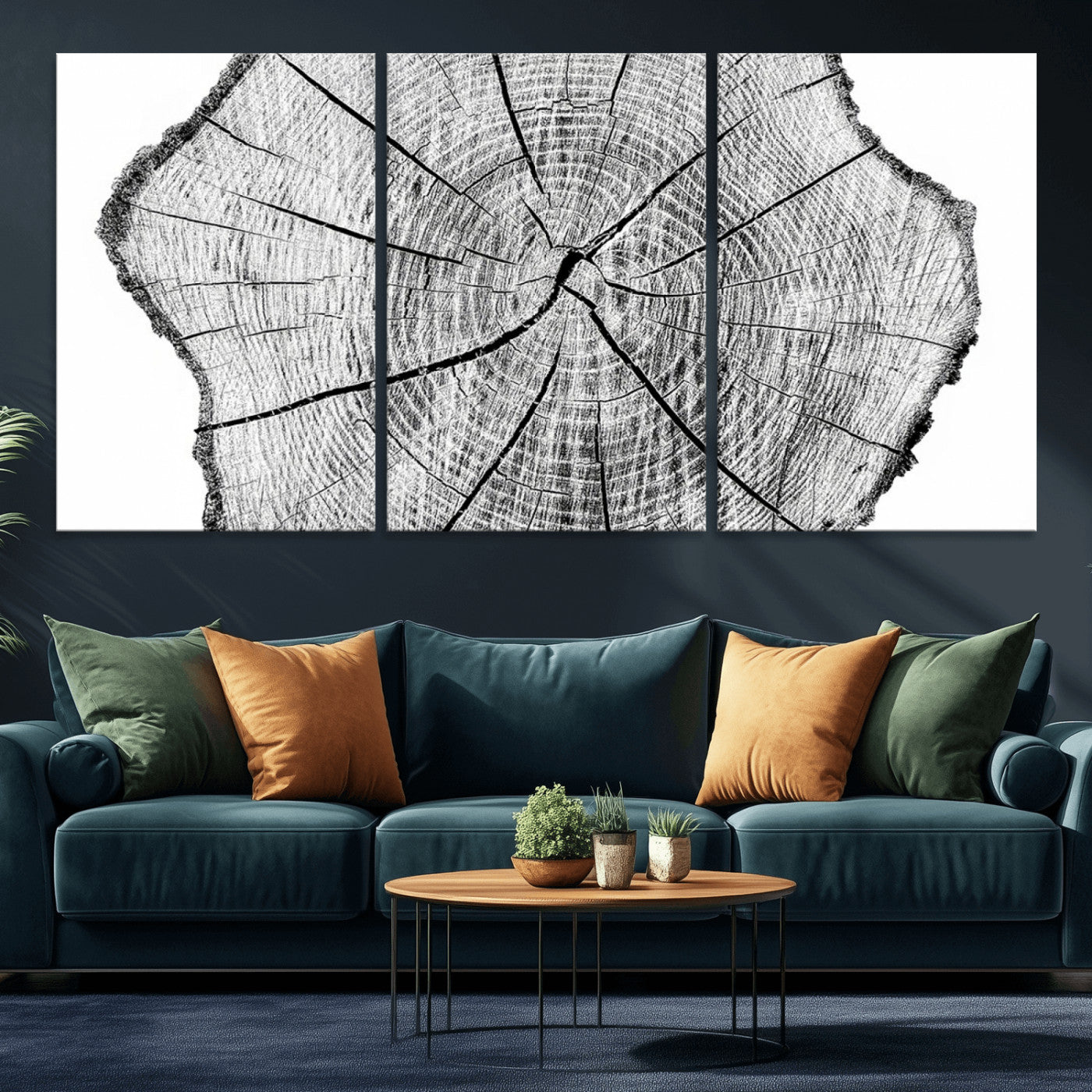 -Rustic Tree Ring Wall Art Canvas Print – Framed and Ready to Hang – Perfect for Nature-Inspired and