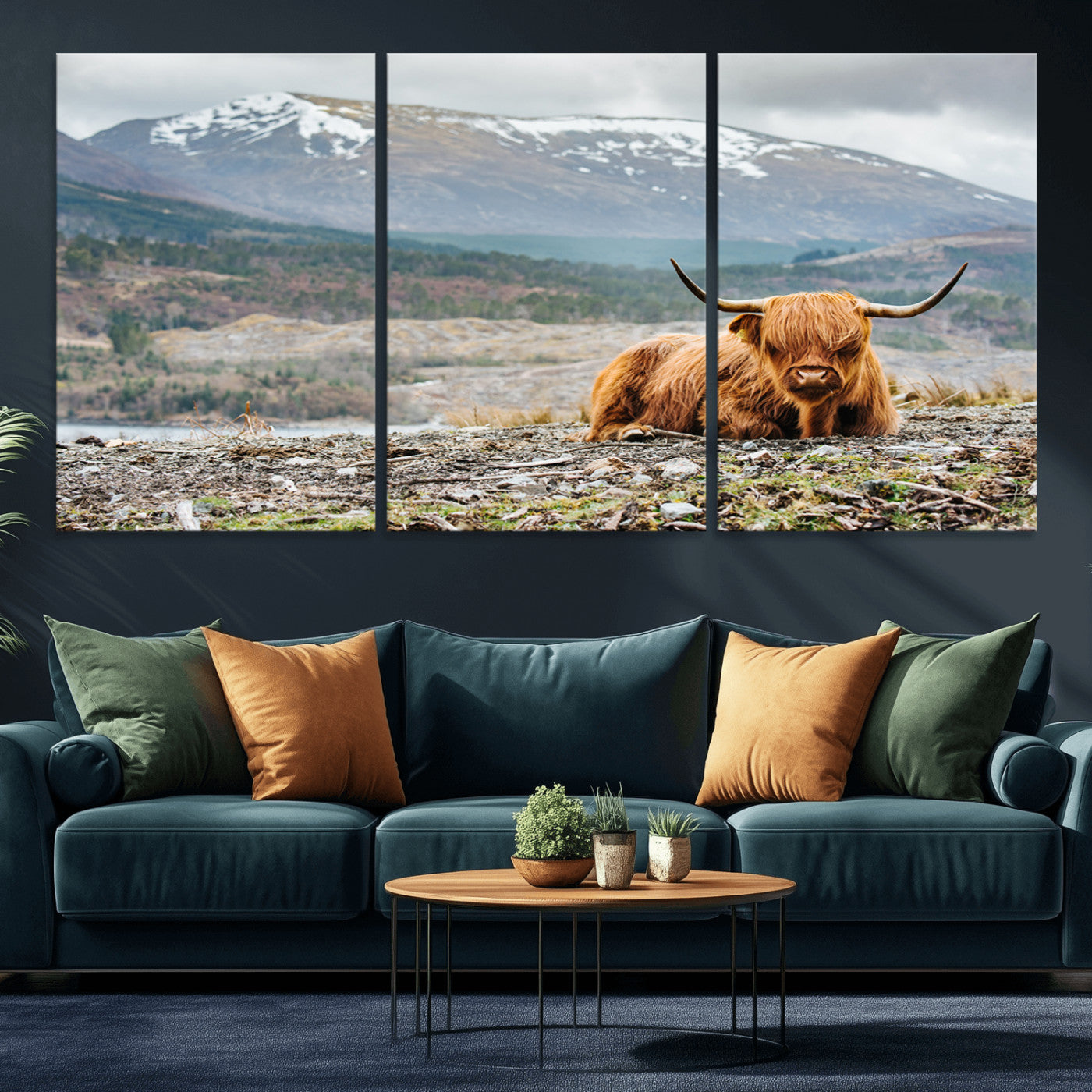 -Highland Cow Horn Farm Wall Art Canvas Print