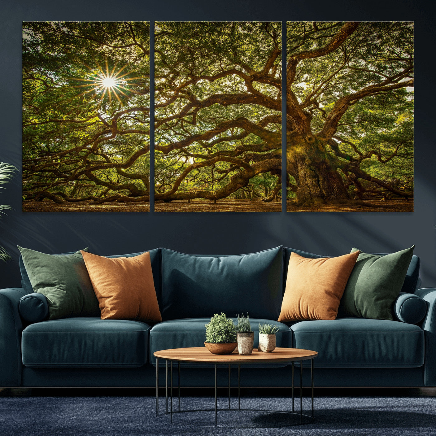 MGV-CV-60X30-3P - Ancient Angel Oak Tree Art Sunburst Canvas Print- Nature-Inspired Triptych Canvas Print, Framed, Ready to Hang