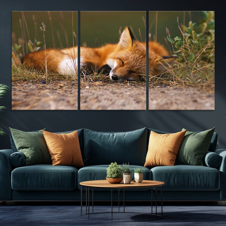 The Sleeping Fox Wall Art Canvas Print is ideal for farmhouse decor.