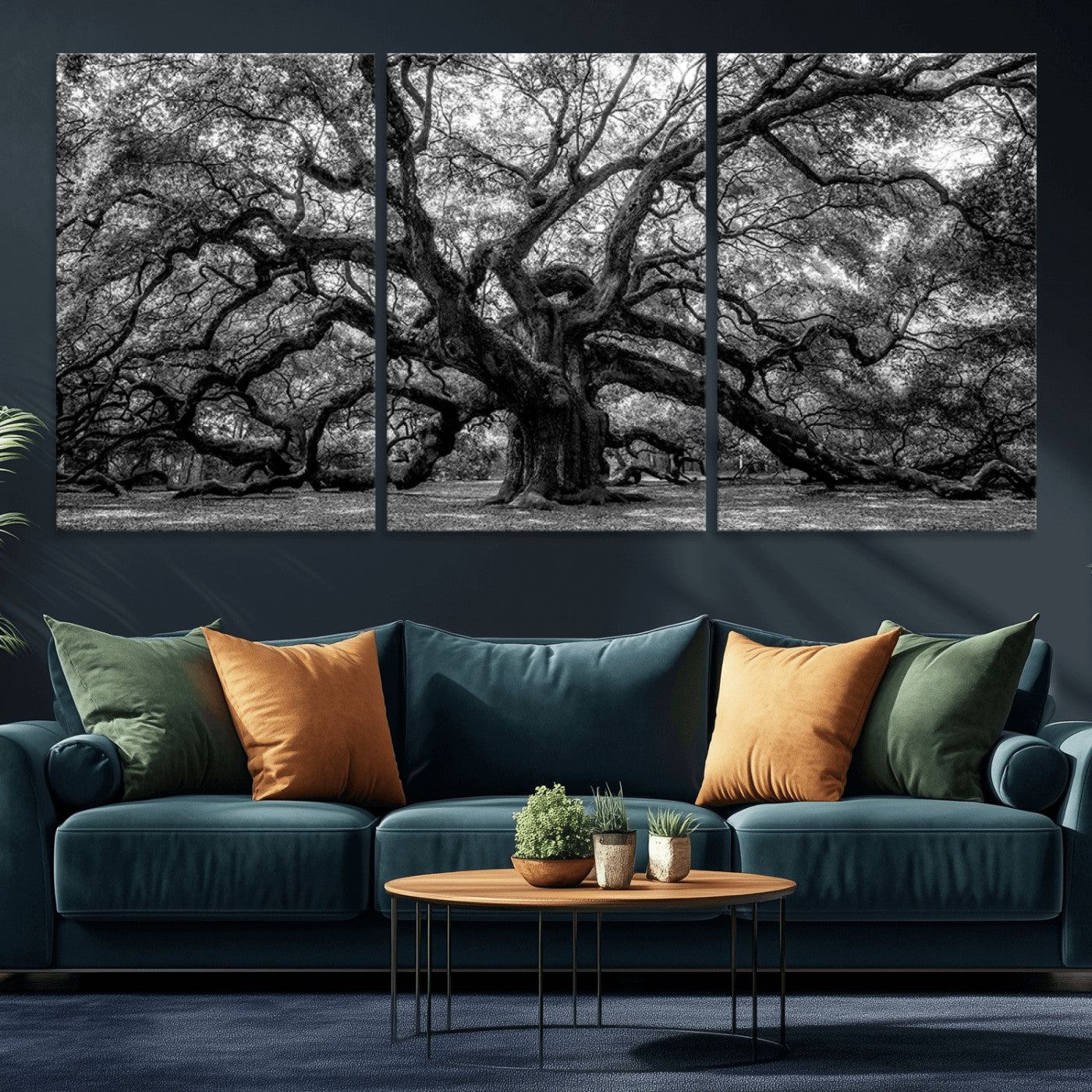 MGV-CV-60X30-3P - Black and White Old Angel Oak Tree Wall Art Canvas Print