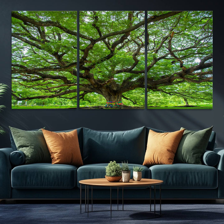 Framed Angel Oak Tree print featuring sprawling branches and ribbons against a clear sky backdrop, ideal for home or office decor.