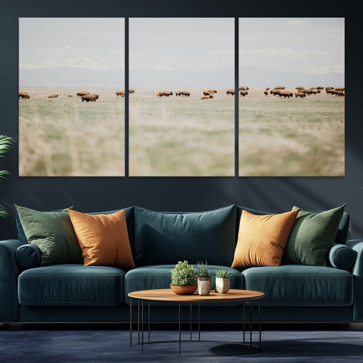 Bison Herd Wall Art Canvas Print, Framed Western Art Picture Print, Bison Perfect Ranch Decor Artwork