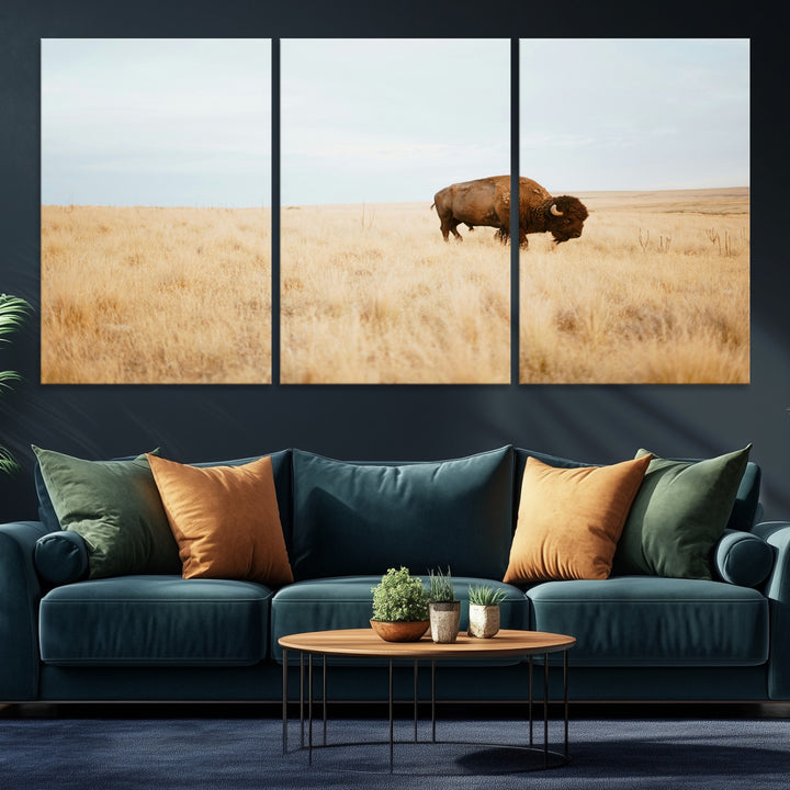 A lone bison standing in a vast golden grassland under a soft blue sky, evoking a rustic and Western aesthetic, ideal for farmhouse decor.