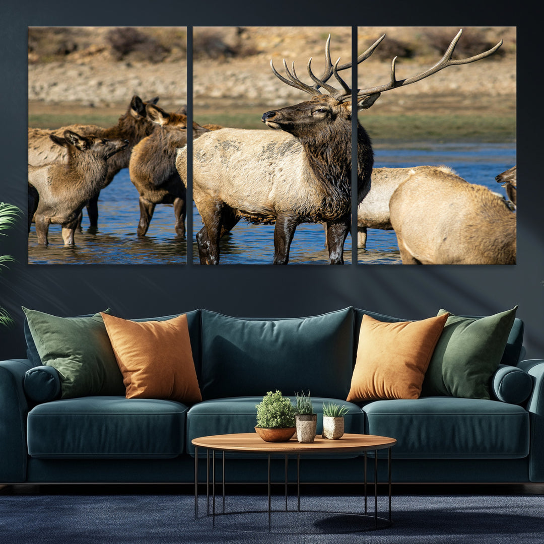 Group of elk standing in shallow water with dry rocky terrain in the background, showcasing wildlife in a natural setting for rustic decor.