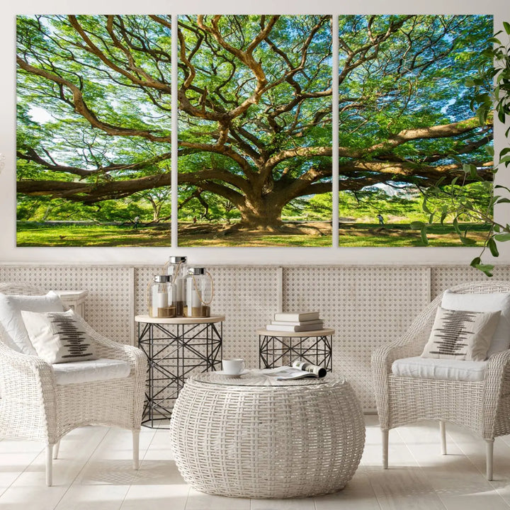 The Angel Oak Tree Wall Art, a multi-panel canvas print showcasing a large tree with sprawling branches and green leaves in a style reminiscent of the majestic Angel Oak Tree, elegantly adorns the wooden wall in the living room.