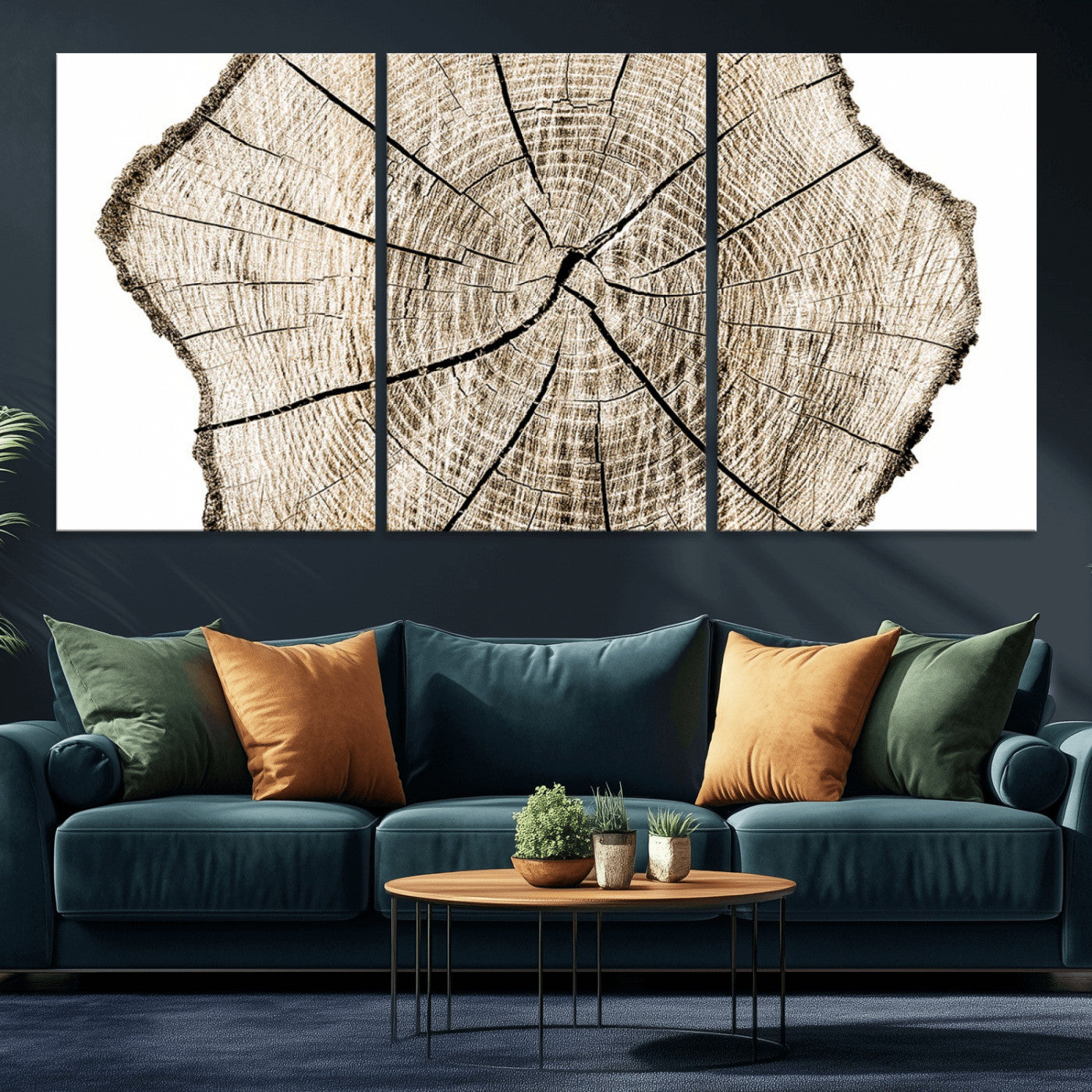 MGV-CV-60X30-3P - Abstract Wood Tree Ring Wall Art - Ready to Hang Minimalist Wooden Design for Rustic & Contemporary