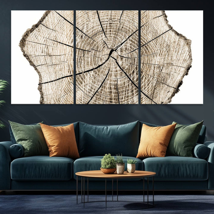 The Abstract Wood Tree Ring Wall Art set of 3 adds a minimalist touch to the space.