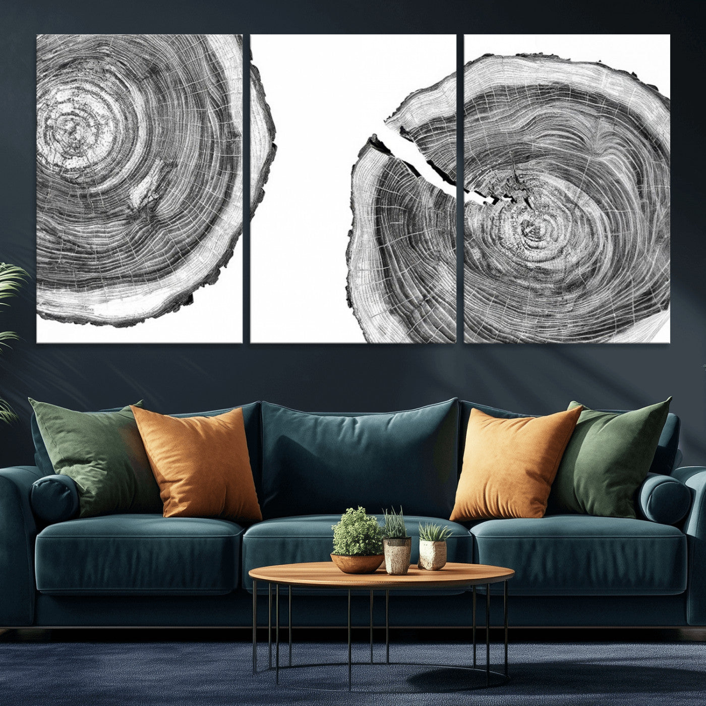 MGV-CV-60X30-3P - Modern Black and White Tree Rings Canvas Wall Art – Nature Inspired Wood Slice Print – Minimalist