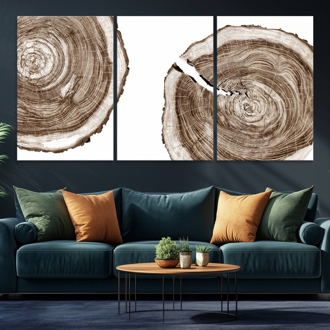 Wood Tree Ring Wall Art on a minimalist black and white canvas.