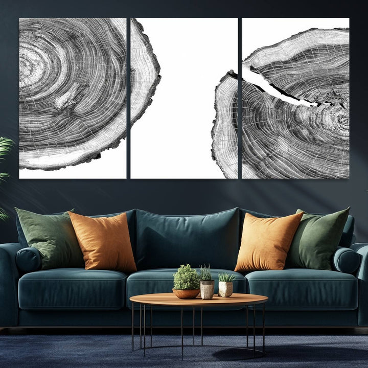 The minimalist art piece Abstract Large Tree Rings on canvas creates a striking focal point.