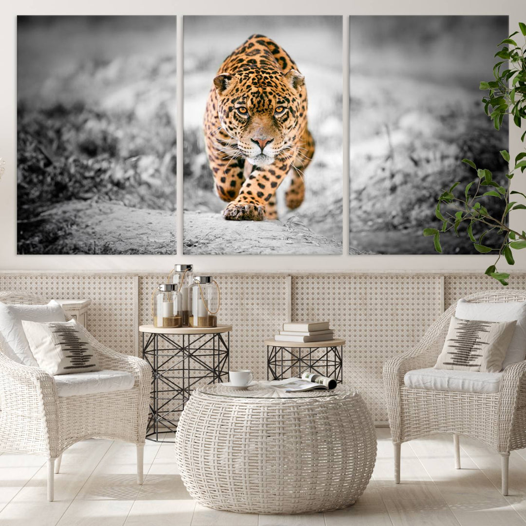 A striking three-panel "Jaguar Stalking Wall Art Canvas Print - Majestic Big Cat in Focused Pursuit" features a leopard walking forward, set against a black and white background.