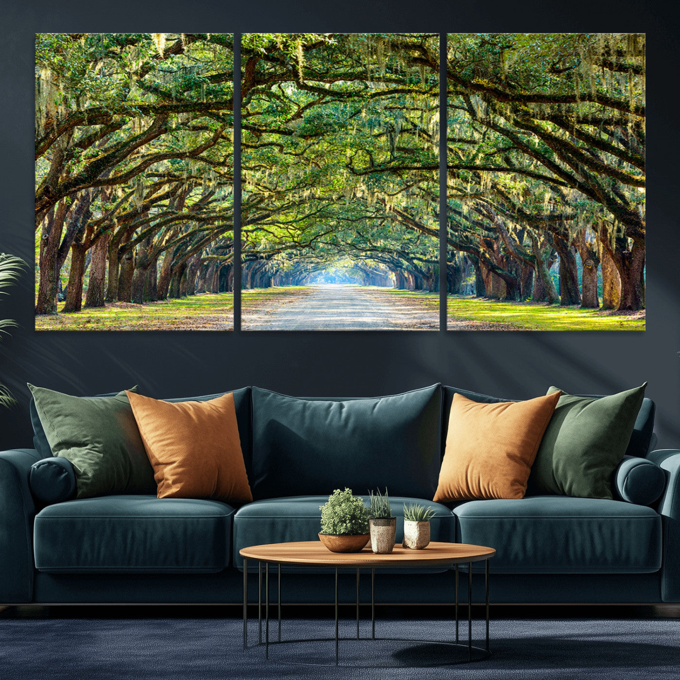 MGV-CV-60X30-3P - Wormsloe State Plantation Driveway Wall Art Canvas Print