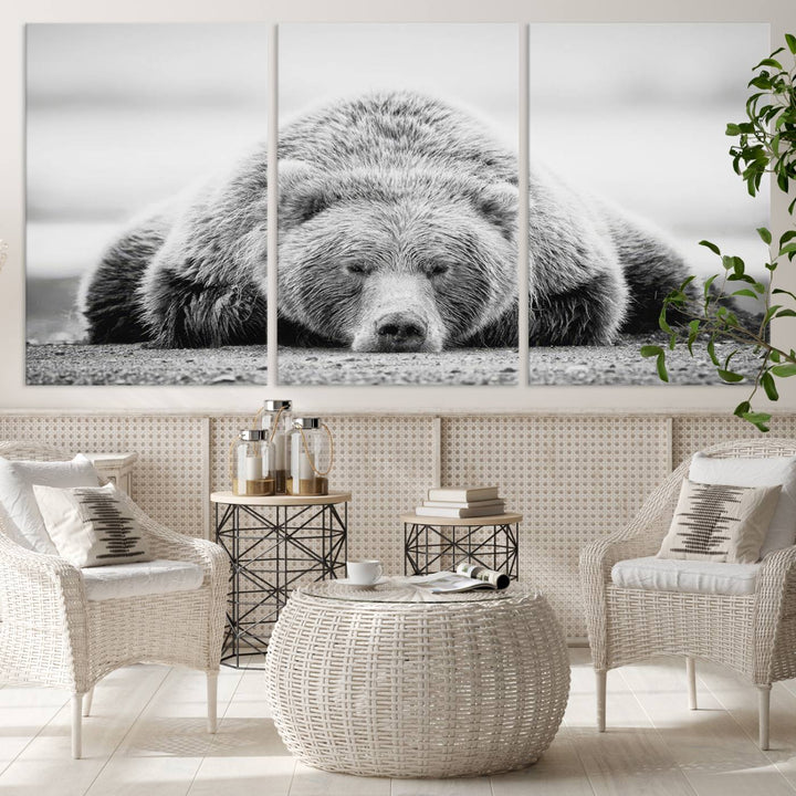 Resting Grizzly Bear wall art displayed in a modern room.