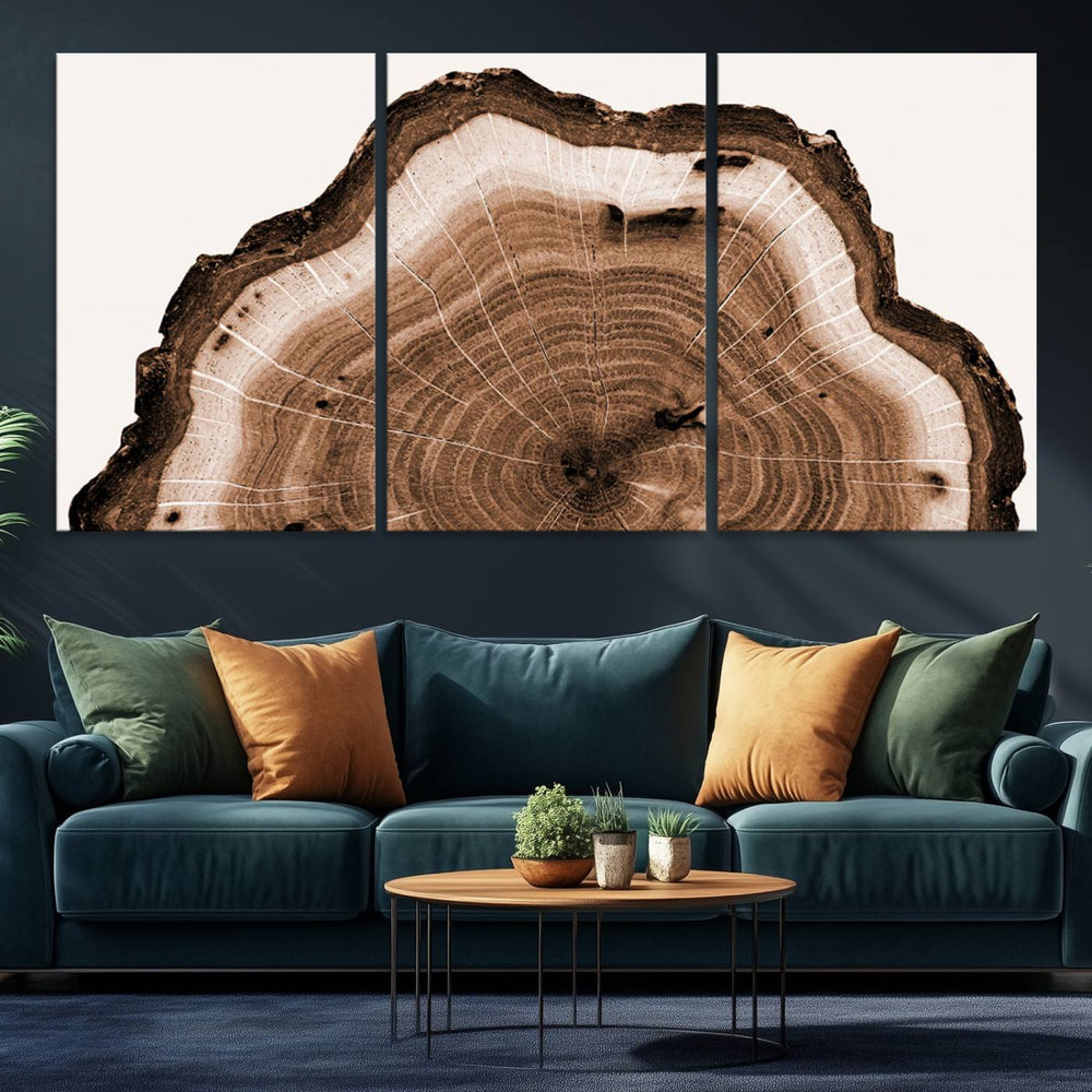 Close-up of the Rustic Wood Rings Wall Art featuring detailed tree rings and natural texture on a plain white background.