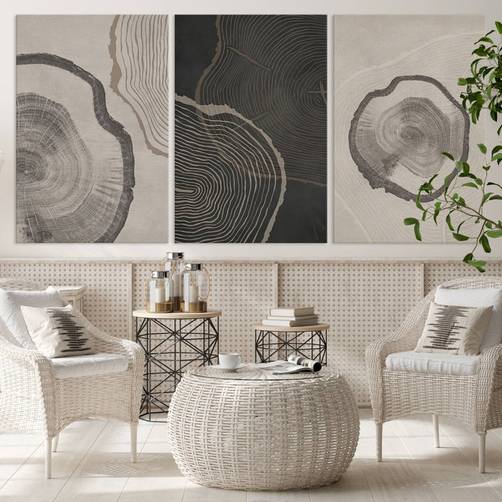 Framed Canvas Wall Art Set Wood Tree Rings Age Abstract Illustrations Prints Modern Art Minimalist Neutral Boho Decor