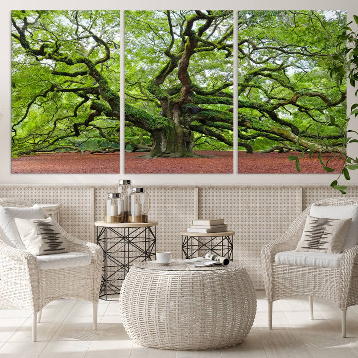 Framed Angel Oak Tree Wall Art - 3-Panel Canvas Prints, Large Green Nature Artwork, Ready to Hang Home Decor for Living Room, Office, Bedroom