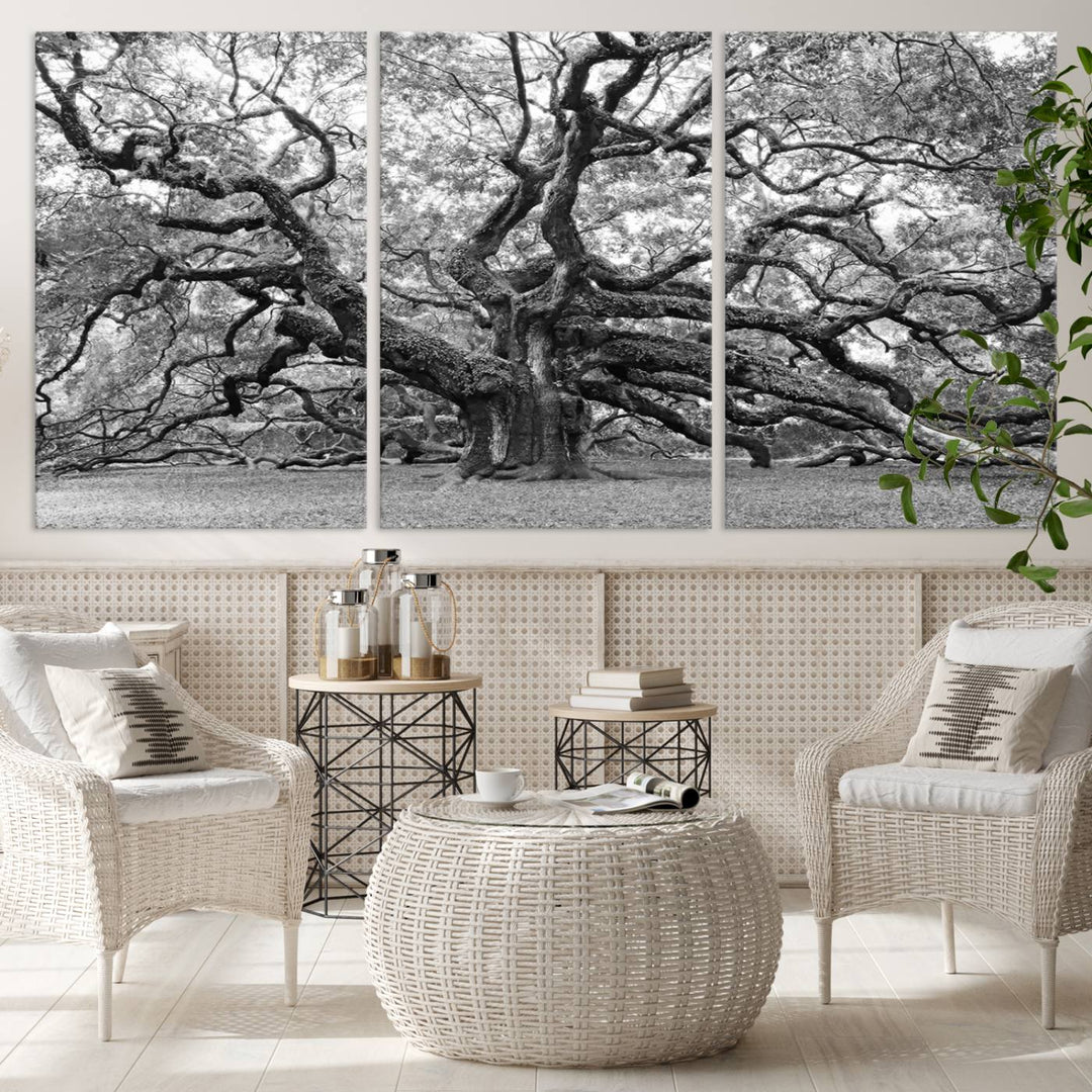 Black White Angel Oak Tree Wall Art - Timeless Nature-Inspired Canvas for Rustic, Modern, or Traditional Home Decor