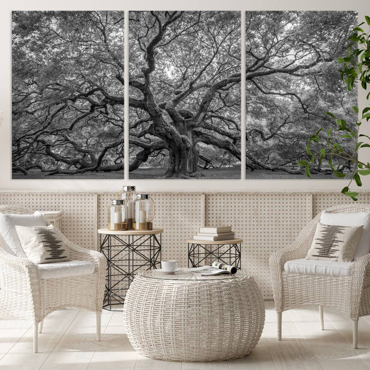 Majestic Angel Oak Tree Black and White Canvas Print – Multi Panel Wall Art, Giclée Print, Ready to Hang Nature Photography for Home Decor