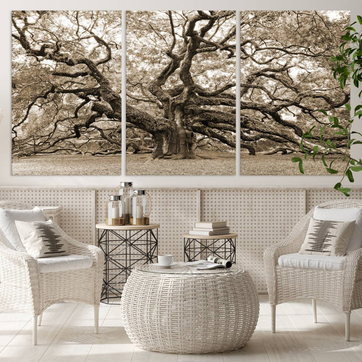 Sepia Framed Angel Oak Tree Wall Art - 3-Panel Canvas Prints, Large Green Nature Artwork, Ready to Hang Home Decor for Living Room, Office, Bedroom