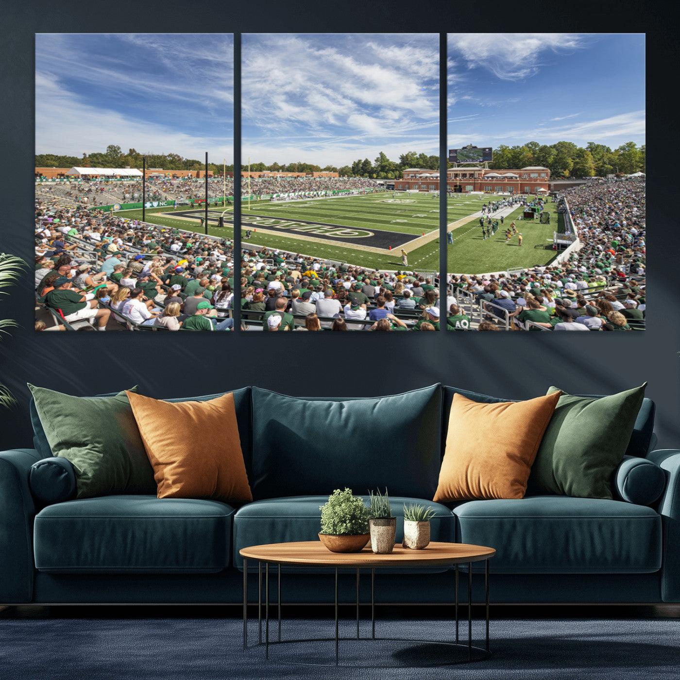 MGV-CV-60X30-3P - University of Charlotte 49ers Football Team Print - Charlotte Jerry Richardson Stadium Canvas Print