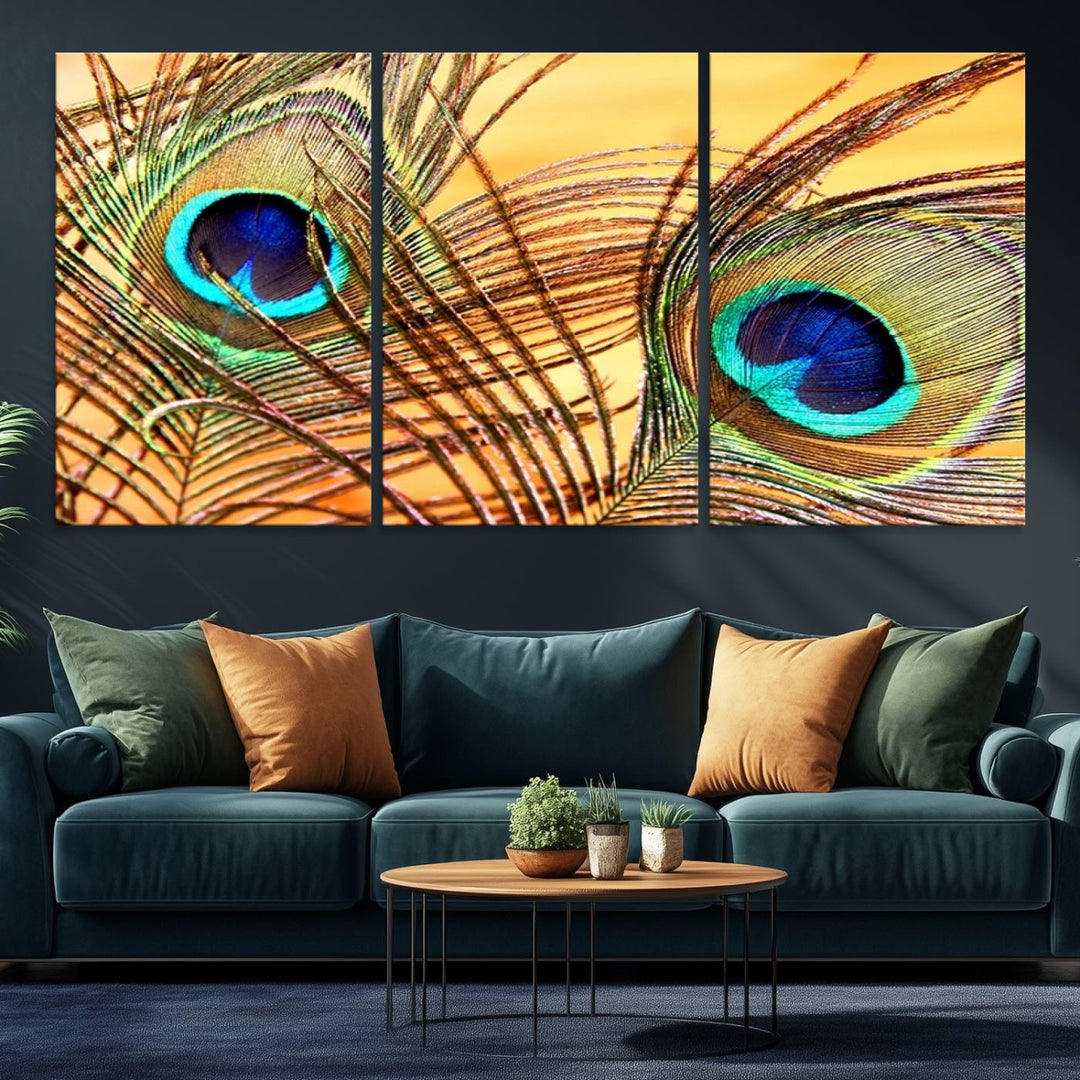 The room features vibrant peacock feather wall art.