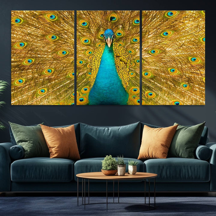 The Peacock Wall Art Canvas Print adorns a bright wall.