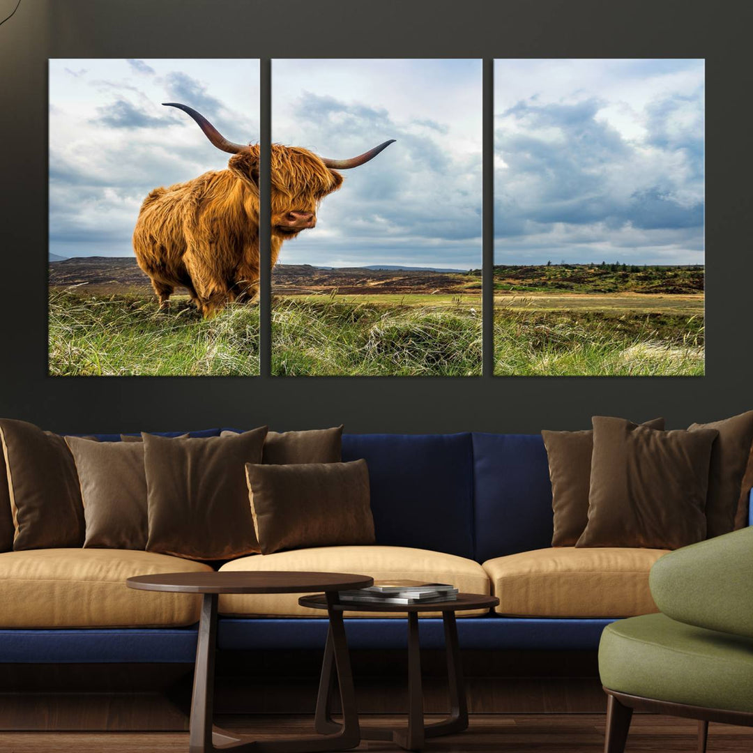 Highland Cattle Canvas Print: A minimalistic touch for any setting.