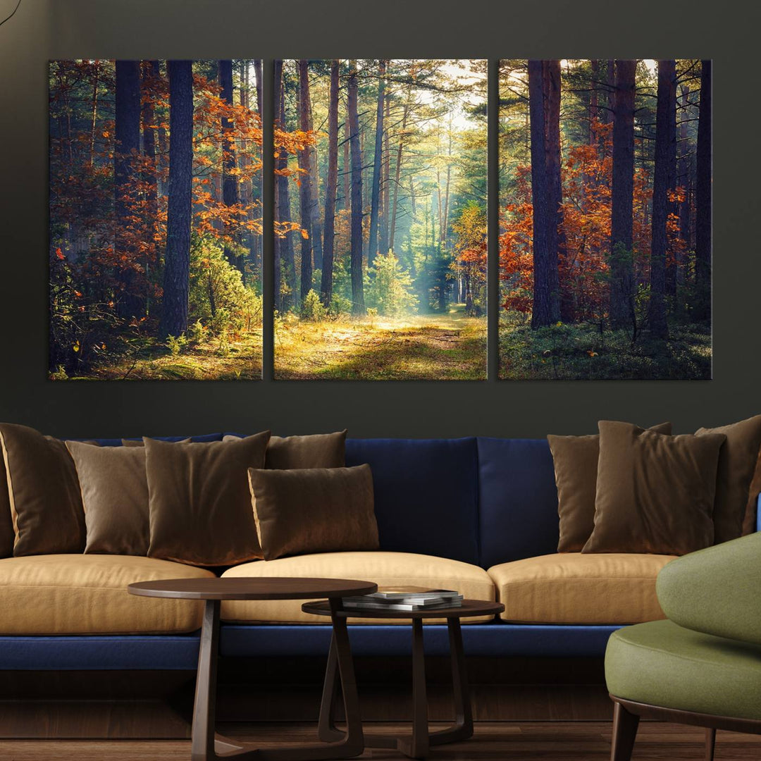 The Dark Forest canvas wall art showcases a captivating forest landscape.