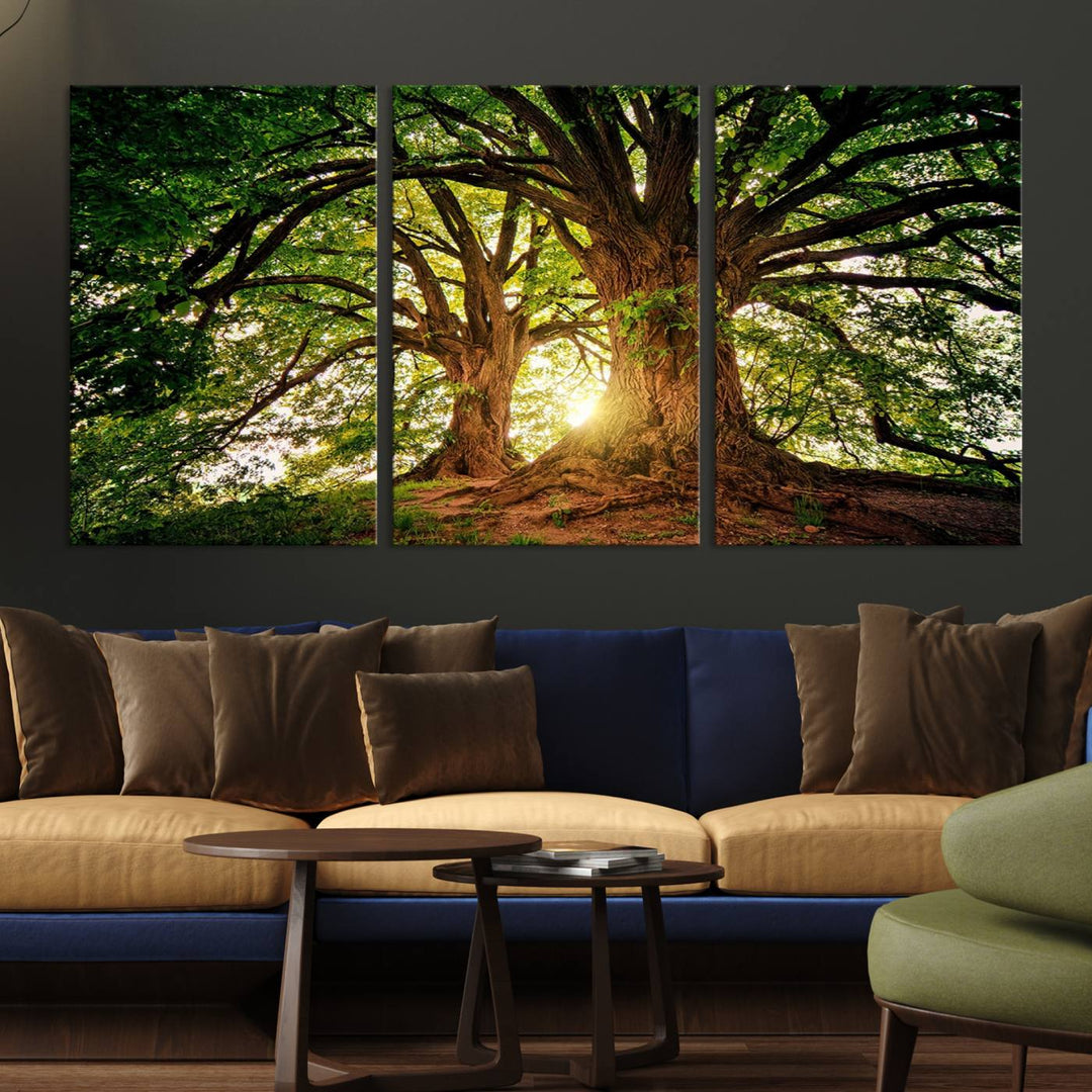 Majestic Ancient Tree Wall Art is illuminated by sunlit forest rays.