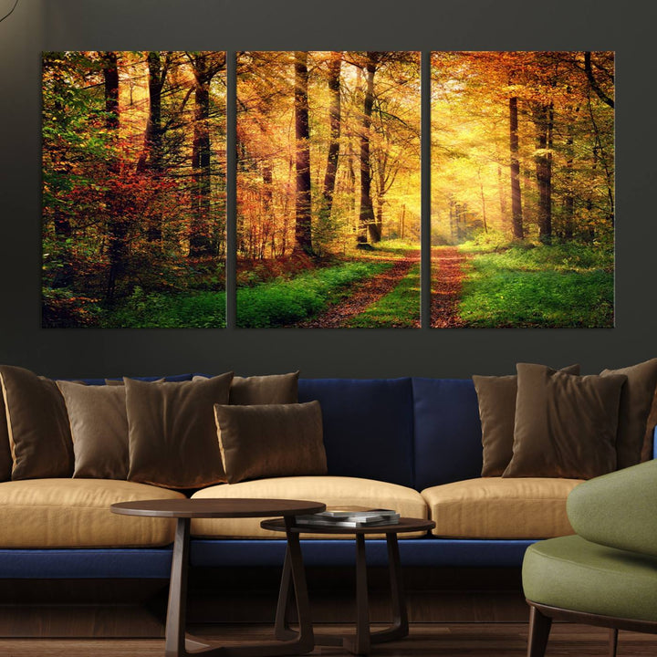 The Sunlight Through Trees Wall Art Canvas Print showcases a sunlit autumn forest and includes UV protection to ensure lasting vibrance.