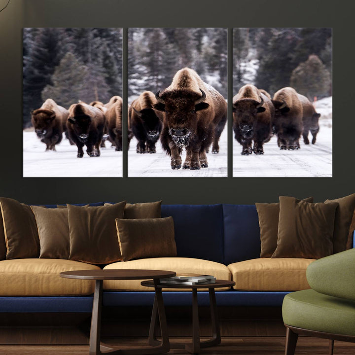 Bison Herd Canvas Wall Art.