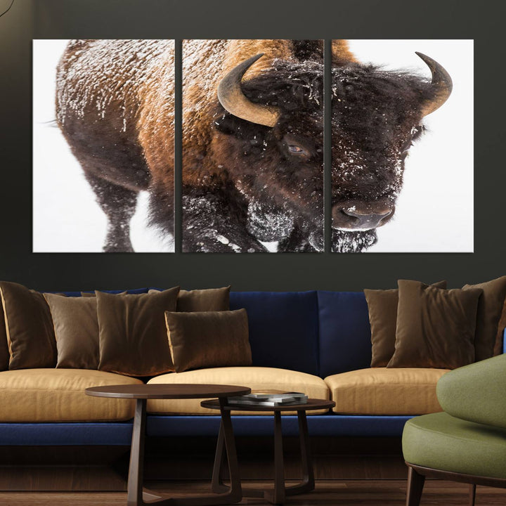 Bison Wall Art Canvas.