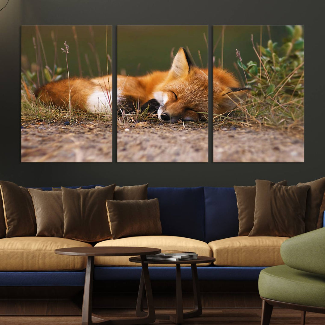 The Sleeping Fox Wall Art Canvas Print is ideal for farmhouse decor.