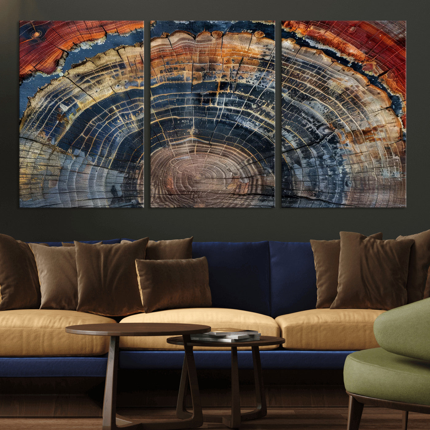 MGV-CV-60X30-3P - Abstract Tree Ring Wall Art, Colorful Framed Tree Ring Wall Decor, Minimalist Home Canvas Art,