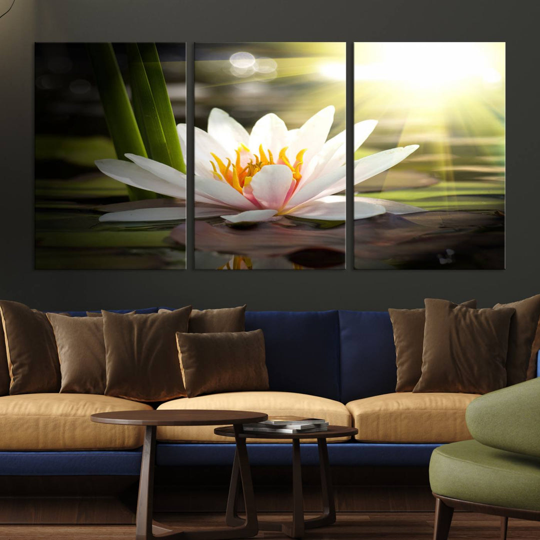 The Lotus Flower Wall Art Canvas Print showcases a white water lily with a yellow center floating gracefully in sunlight.