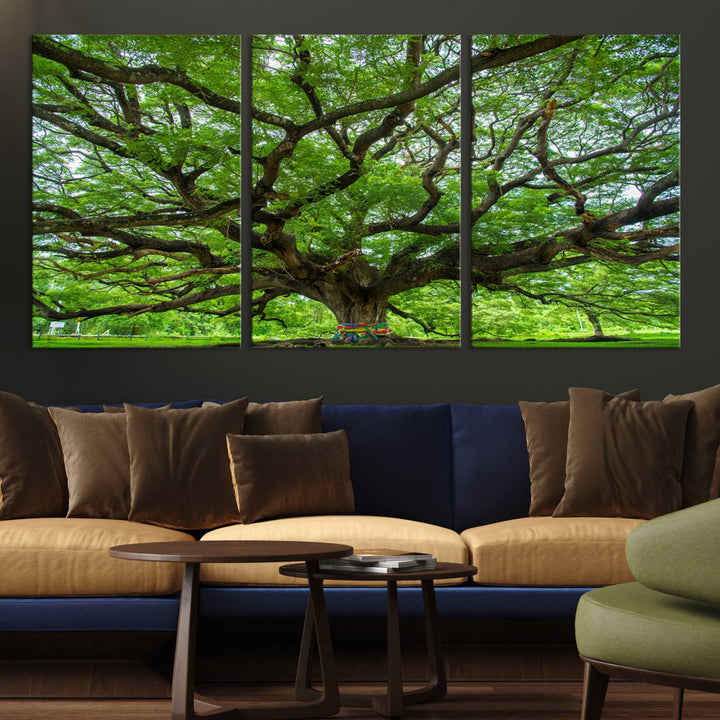 Framed Angel Oak Tree print featuring sprawling branches and ribbons against a clear sky backdrop, ideal for home or office decor.