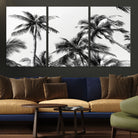 46641801-MGV-CV-40X27-Palm Wall Art Canvas Print, Framed Tropics Art Picture Print, Monochrome Perfect Minimalist Decor