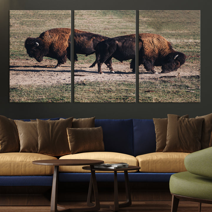 Bison Photography Wall Art Canvas Print, Framed Western Wildlife Art Picture Print, Modern Ranch Perfect Western Rustic Decor Artwork