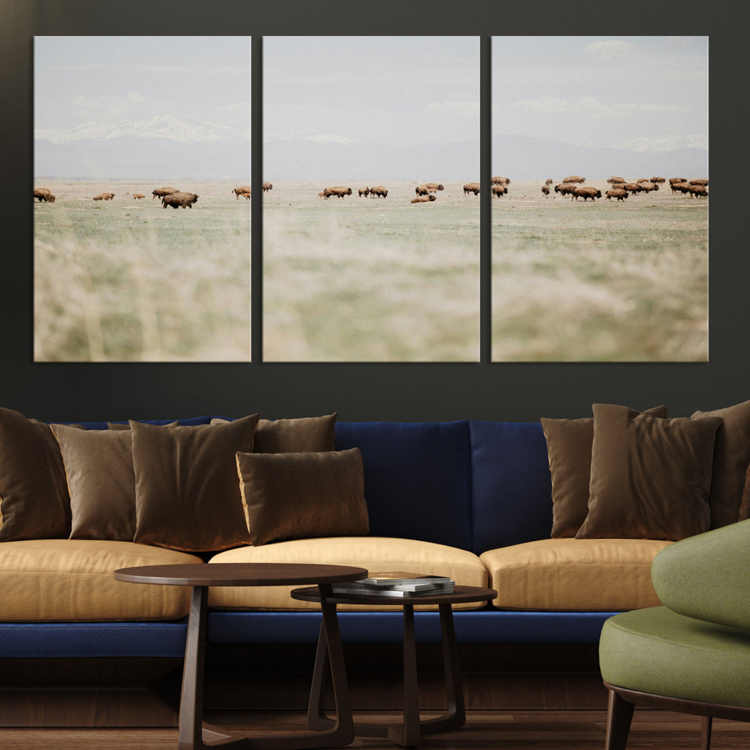 Bison Herd Wall Art Canvas Print, Framed Western Art Picture Print, Bison Perfect Ranch Decor Artwork