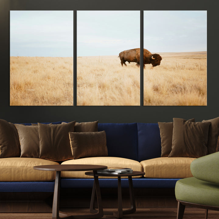 A lone bison standing in a vast golden grassland under a soft blue sky, evoking a rustic and Western aesthetic, ideal for farmhouse decor.