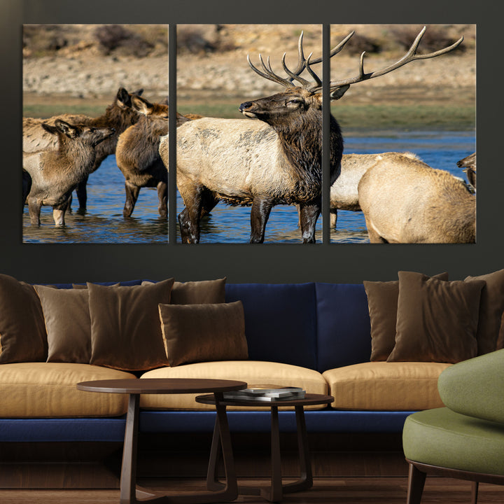 Group of elk standing in shallow water with dry rocky terrain in the background, showcasing wildlife in a natural setting for rustic decor.