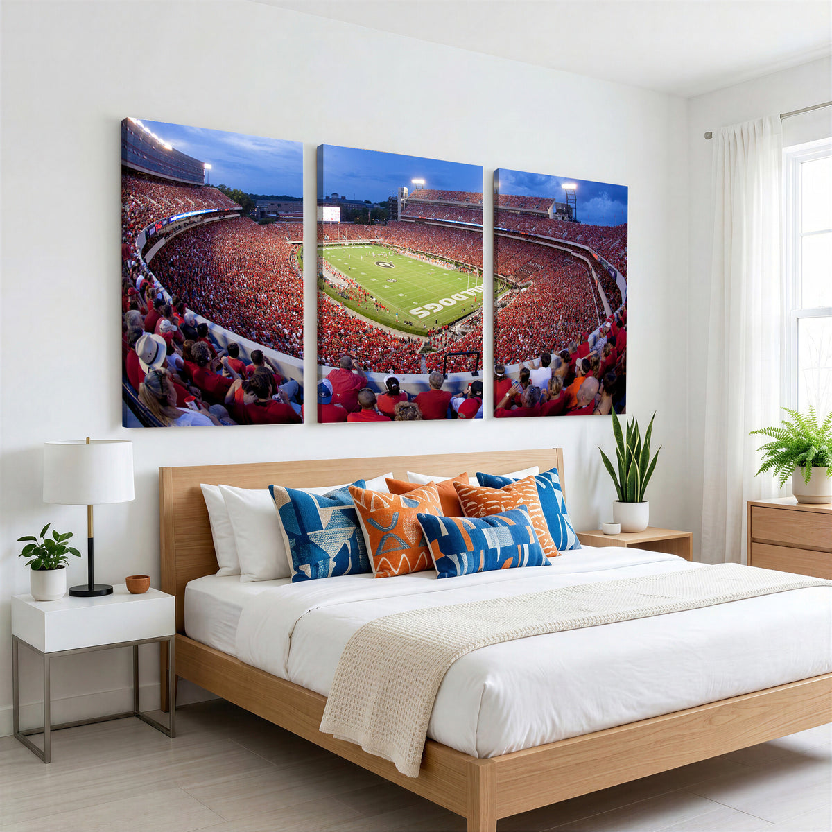 10244378-MGV-CV-36X24 - Dooley Stadium Wall Art, Sports Arena Canvas Print, Dooley Field, Home Bar Wall Decor
