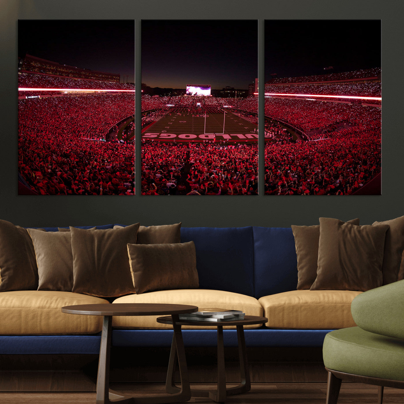 Dooley Stadium Wall Art Print, Sports Arena Canvas Wall Art, Dooley Field at Sanford Stadium Canvas Print, Modern Athletic Field Art Printing