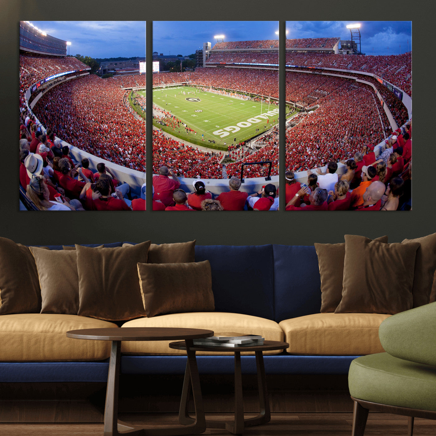 10244378-MGV-CV-48X32-3P-Dooley Stadium Wall Art Print, Sports Arena Canvas Wall Art, Dooley Field at Sanford Stadium Canvas Print, Modern Athletic Field Art Printing