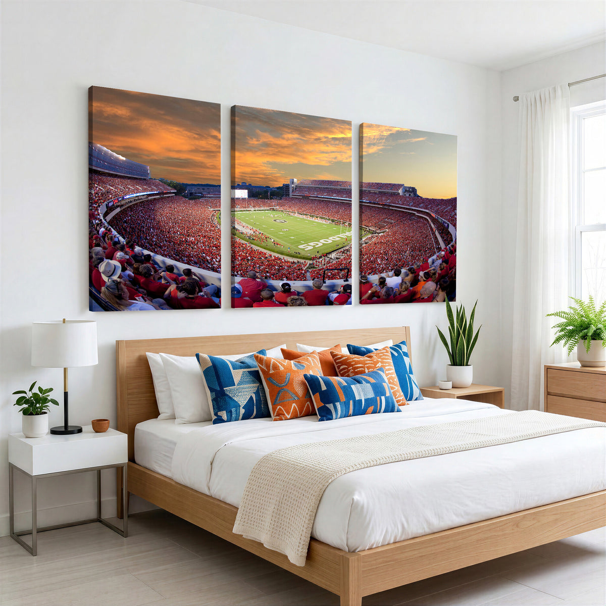 73680988-MGV-CV-36X24 - Dooley Stadium Wall Art, Sports Arena Canvas Print, Dooley Field, Framed and Ready to Hang