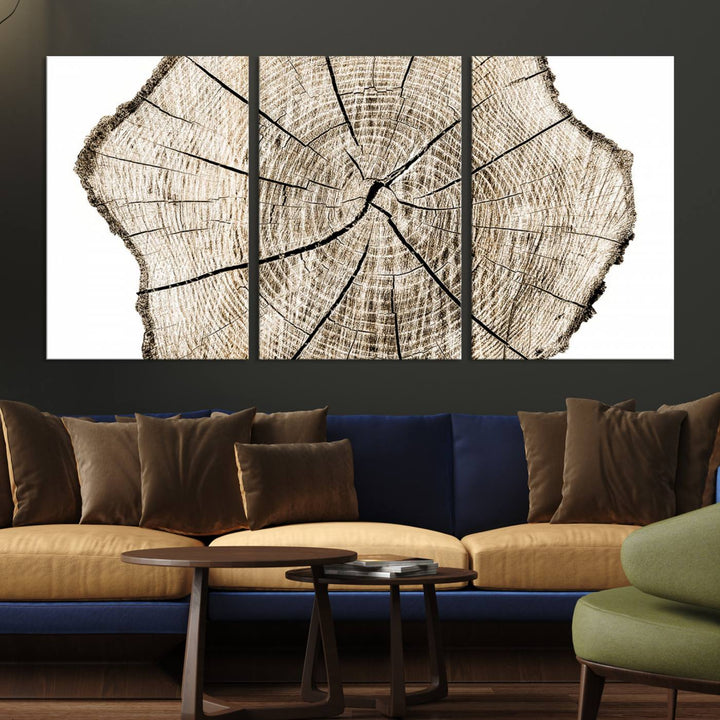 The Abstract Wood Tree Ring Wall Art set of 3 adds a minimalist touch to the space.